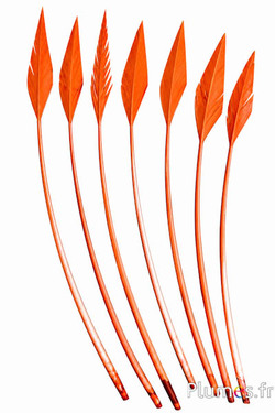 Zwaan pijl - 20-30 cm - zalm roze
